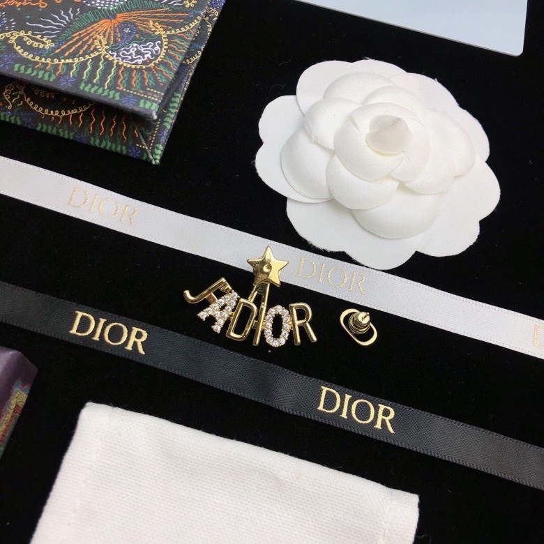 Christian Dior Earrings